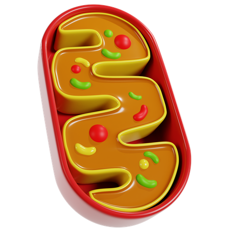 Colorful Mitochondria Model  3D Icon