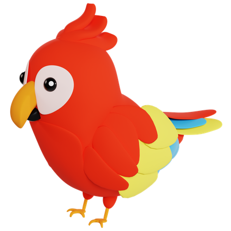 Colorful Parrot Illustration  3D Icon