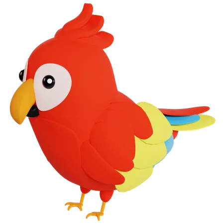 Colorful Parrot Illustration  3D Icon