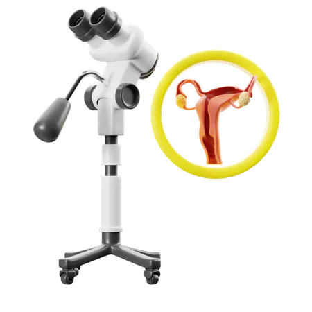 Colposcopy Test  3D Icon