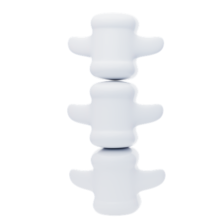 Columna vertebral  3D Icon