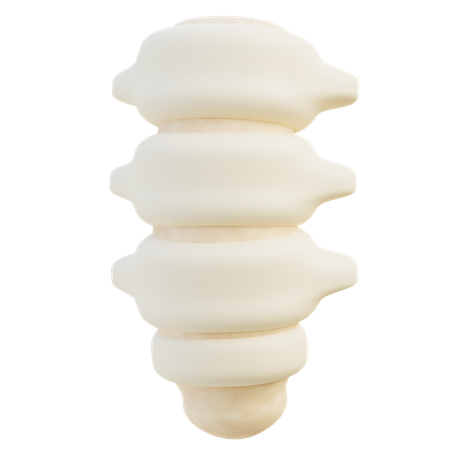 Columna vertebral  3D Icon