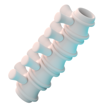 Columna vertebral  3D Icon