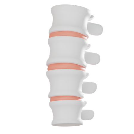 Columna vertebral  3D Icon