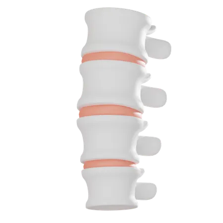 Columna vertebral  3D Icon