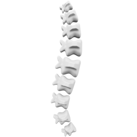 Coluna  3D Icon