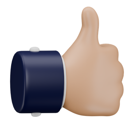 Como gesto de mão  3D Icon