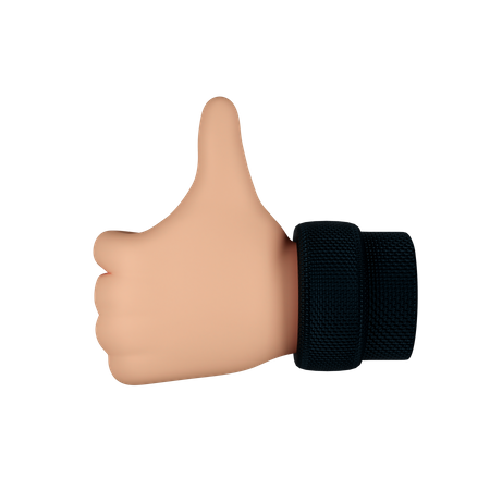 Como gesto de mão  3D Icon