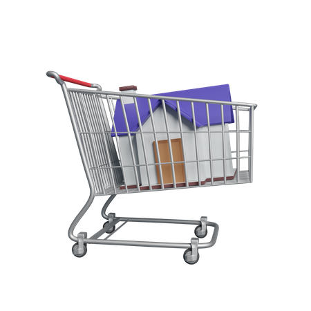 Compras para casa  3D Icon