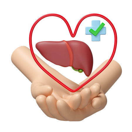 Comprobar la salud del hígado  3D Icon