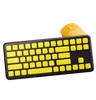 Computer Keyboard