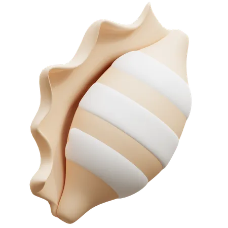 Conch Shell  3D Icon