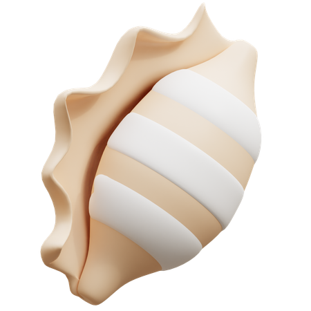 Conch Shell  3D Icon