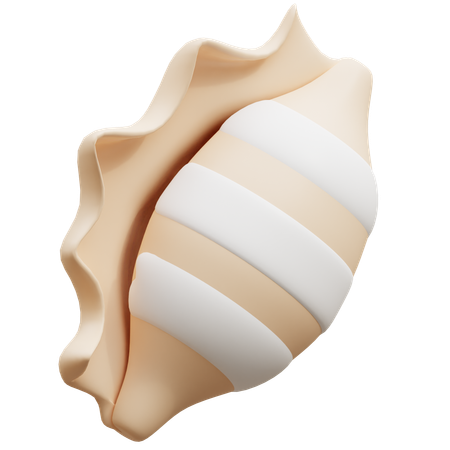 Concha  3D Icon