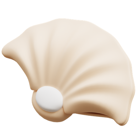 Concha  3D Icon