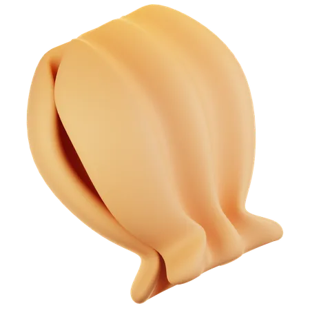 Concha  3D Icon