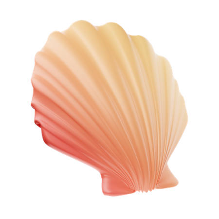 Concha do mar  3D Icon