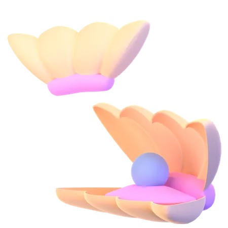 Concha  3D Icon