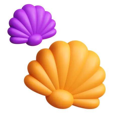 Concha de mar  3D Icon