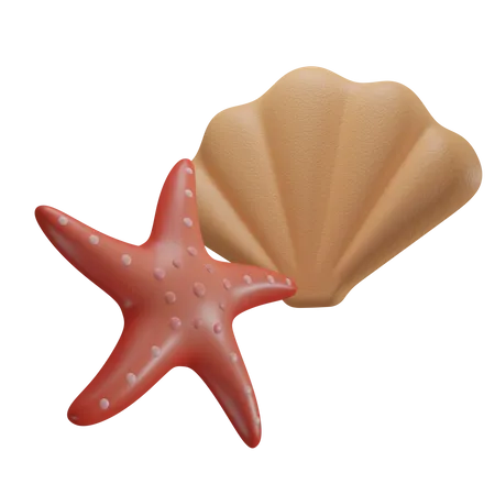 Concha e estrela do mar  3D Icon