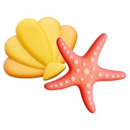 Concha e estrela do mar  3D Icon