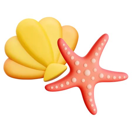 Concha e estrela do mar  3D Icon