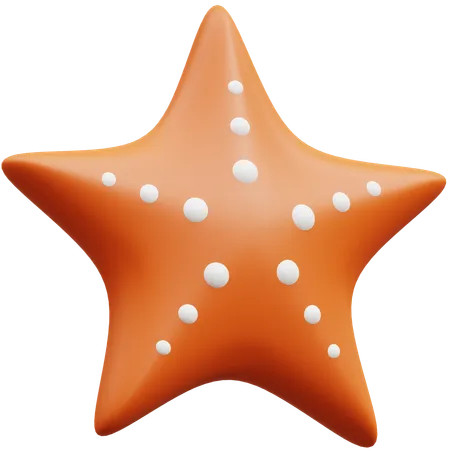 Concha de estrella  3D Icon