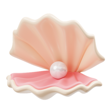Concha de perla  3D Icon