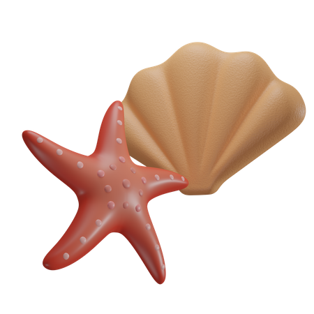 Concha y estrella de mar  3D Icon