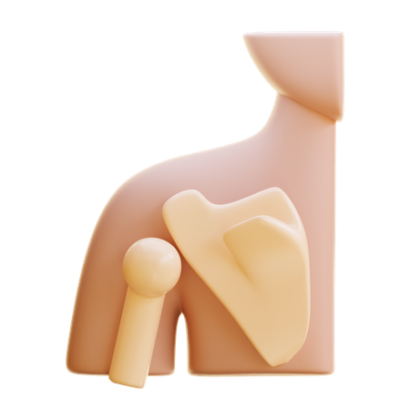 Condições musculoesqueléticas  3D Icon