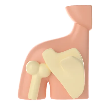 Condições musculoesqueléticas ombro  3D Icon