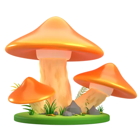 Cône d'orange aux champignons  3D Icon