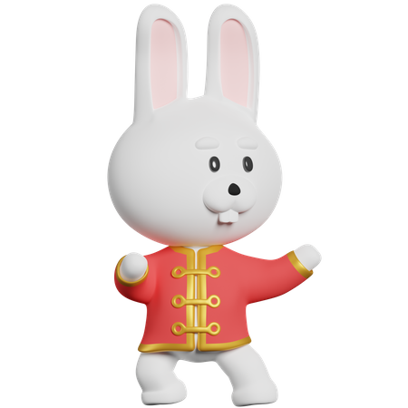 Kung Fu del Conejo Chino  3D Illustration