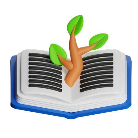 Conhecimento  3D Icon
