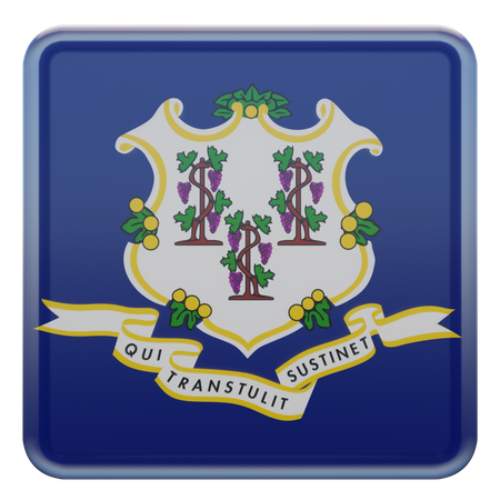 Connecticut Square Flag  3D Icon