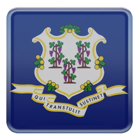 Connecticut Square Flag  3D Icon