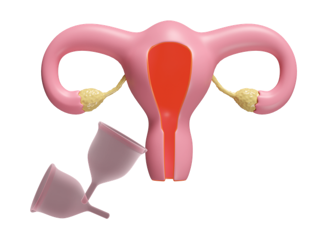 Copa menstrual  3D Icon