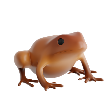 Coqu-Frosch  3D Icon