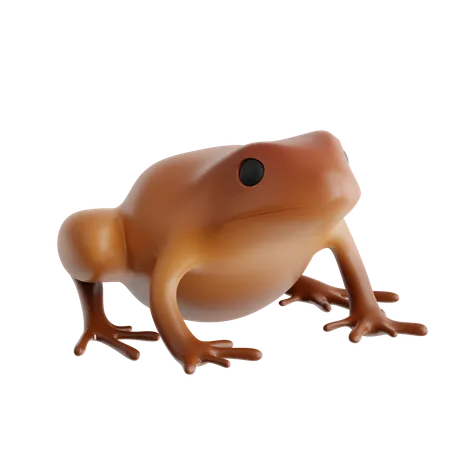 Grenouille coque  3D Icon