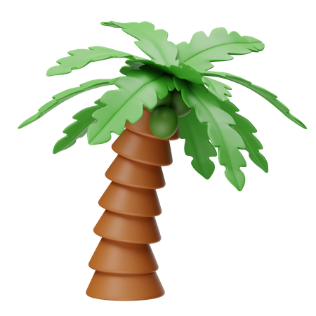Coqueiro  3D Icon