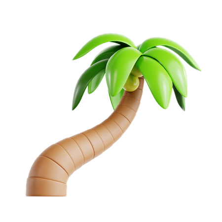 Coqueiro  3D Icon