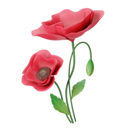 Coquelicot  3D Icon