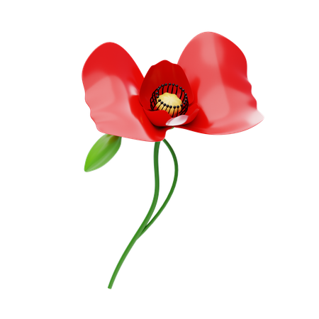 Coquelicot  3D Icon