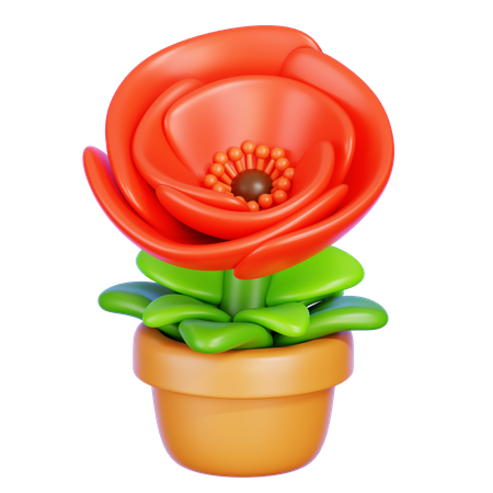 Coquelicot  3D Icon