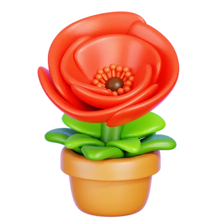 Coquelicot  3D Icon