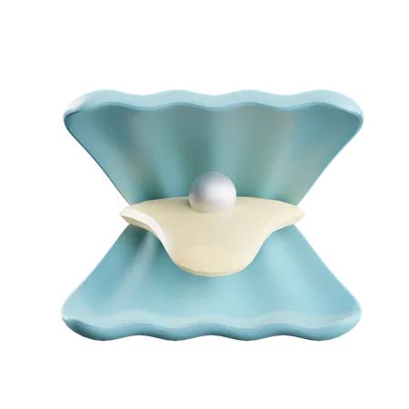 Coquillage  3D Icon