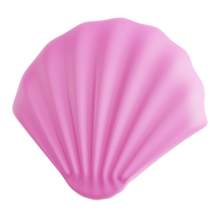 Coquillage  3D Icon