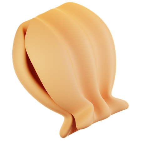 Coquillage  3D Icon