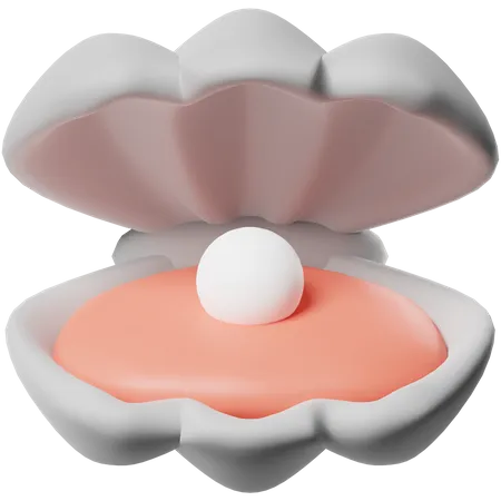 Coquillage  3D Icon