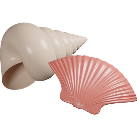 Coquillage  3D Icon